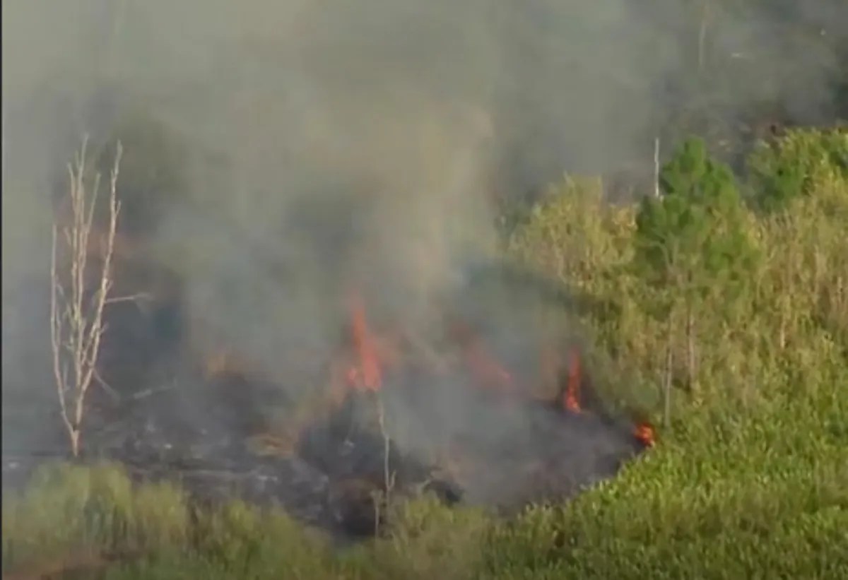 प्लेन हुआ क्रैश और बना आग का गोला, ऑस्ट्रेलिया में 2 लोगों की मौत