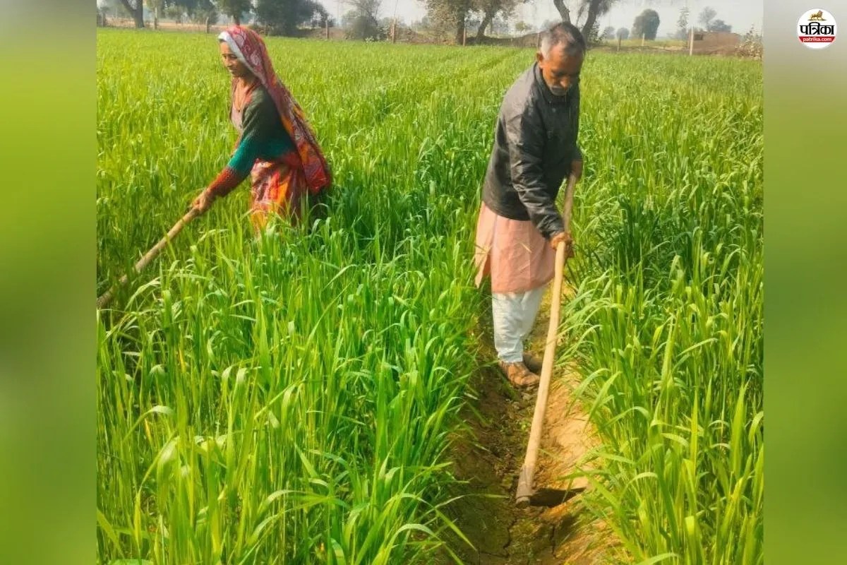 राजस्थान के इन 10 किसानों को दिल्ली में मिलेगा सम्मान, 26 जनवरी को होने वाले परेड में शामिल होने के लिए आया न्योता