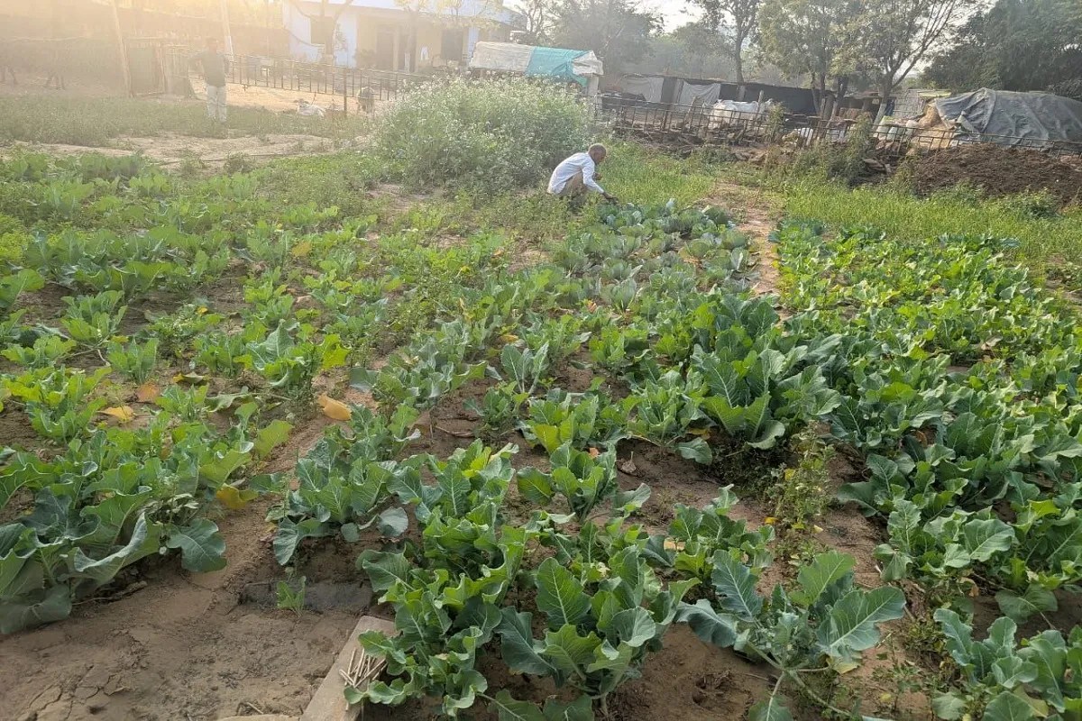 जयपुर में डवलप हो रहा नया कल्चर…सेकेंड होम बन रहे शुद्ध जीवन का भरोसा