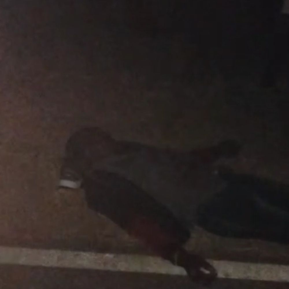 छिंदवाड़ा में दो बाइकों की भिड़ंत, 1 की मौत:3 लोग घायल, एक की हालत गंभीर; नवेगांव के पास हुआ हादसा