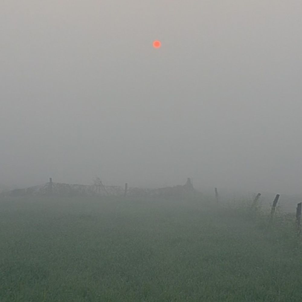 औरंगाबाद में अगले 2 दिन सुबह कुहासे की संभावना:जिले का न्यूनतम तापमान 14 डिग्री सेल्सियस, दिन-रात के पारे में 10 डिग्री से अधिक का अंतर