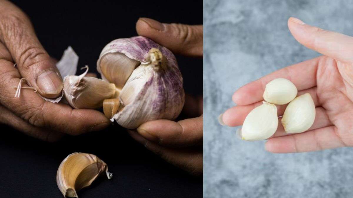 लहसुन छीलने में अब नहीं लगेगा समय, हाथ लगाते ही निकल जाएगा पूरा छिलका, इस ट्रिक से मिनटों में होगा घंटों का काम