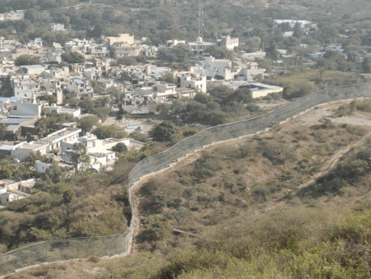 लॉयन सफारी में शेरनी सुनयना नहीं आ रही शेल्टर में:20 हेक्टेयर में टीम निगरानी कर रही, शेर सम्राट तो पहुंचा था, फेंसिंग के बाहर इंसानी आवाजाही