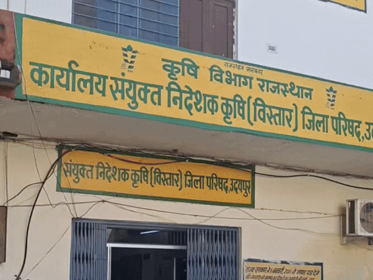 कृषि विभाग का दावा उदयपुर में यूरिया की रिकॉर्ड आपूर्ति:गधों को गुलाब जामुन खिलाने पर विभाग ने दिया जवाब, जनवरी महीने में भी यूरिया की आपूर्ति रहेगी जारी