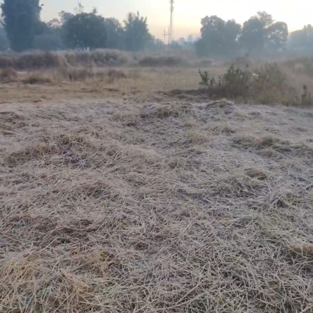 उत्तर छत्तीसगढ़ में कड़ाके की ठंड,पाटों में न्यूनतम तापमान 2°C:शीतलहरों के कारण न्यूनतम तापमान गिरा, मैदानी इलाकों में भी जमीं ओंस की बूंदें