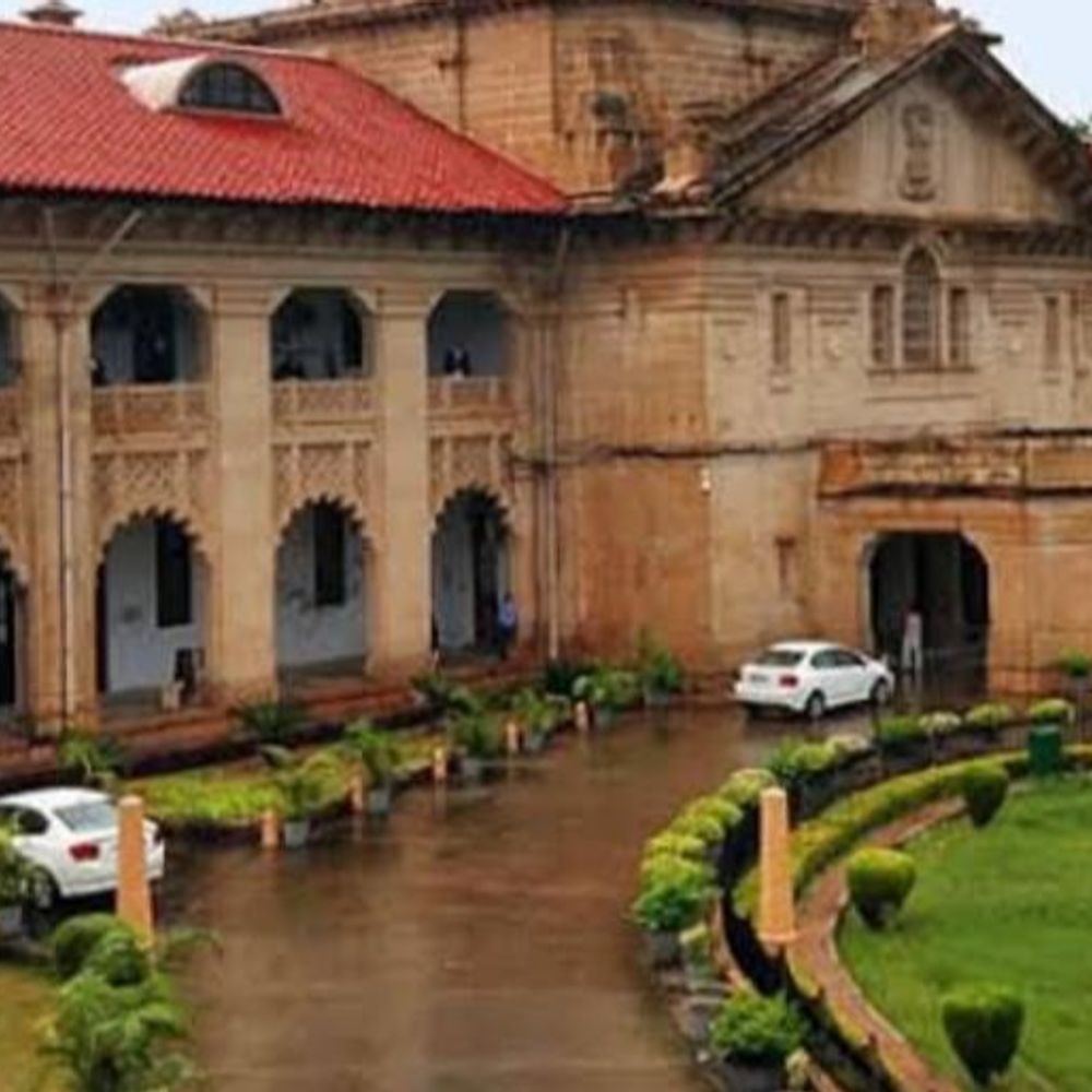 चाइनीज मांझा की खरीद-फरोख्त बंद कराए सरकार-हाईकोर्ट:हाईकोर्ट ने कहा-बनाने पर रोक लगे, यह इंसानियत के लिए घातक है