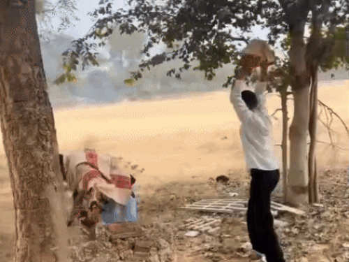 रील वायरल करने को महेंद्रगढ़ सरकारी कॉलेज में तोड़फोड़, VIDEO:बैकग्राउंड में मासूम शर्मा का सॉन्ग- आपां कोनी देख्या करदे मुंह परिणामा के