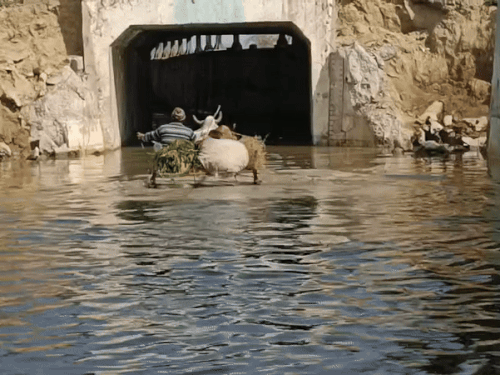 भिवानी में अंडरपास की समस्या को लेकर विरोध तेज:ग्रामीण बवानीखेड़ा में देंगे धरना, कई वर्षों से अंडरपास में भरा पानी, आने-जाने में दिक्कत