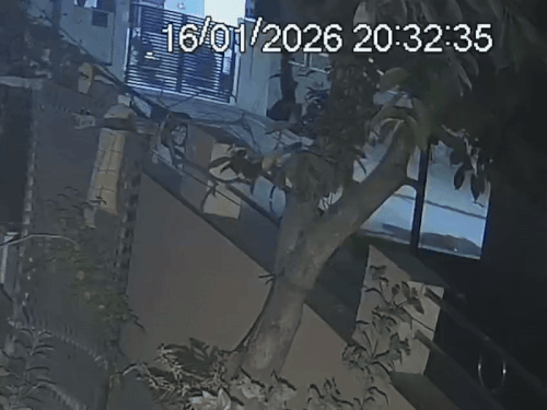 5 सेकंड में स्कूटी का लॉक तोड़कर ले गया:सीसीटीवी में दिखा चोर;पहले गली में घूमता रहा,मौका पाते ही पार