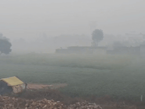 अलवर में छाया कोहरा,विजिबिलिटी 80 मीटर,बादल छाए:न्यूनतम तापमान 4 डिग्री,हल्की बूंदाबांदी भी, तेज सर्दी का अहसास