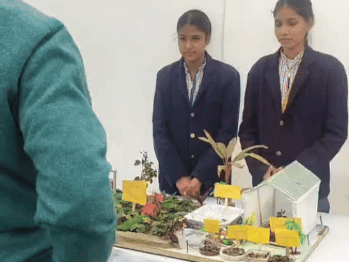 एनएएस इंटर कॉलेज में विज्ञान मॉडल प्रतियोगिता:पर्यावरण और नवीकरणीय ऊर्जा मॉडल बने आकर्षण का केंद्र