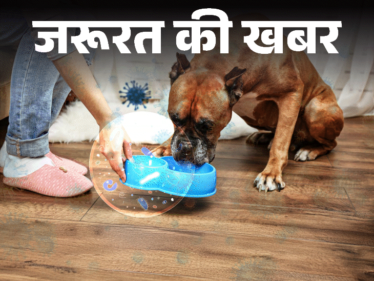 जरूरत की खबर- यहां हैं टॉयलेट सीट से ज्यादा बैक्टीरिया:बढ़ाते बीमारियों का रिस्क, रेगुलर सफाई जरूरी, 10 हेल्दी हाइजीन हैबिट्स