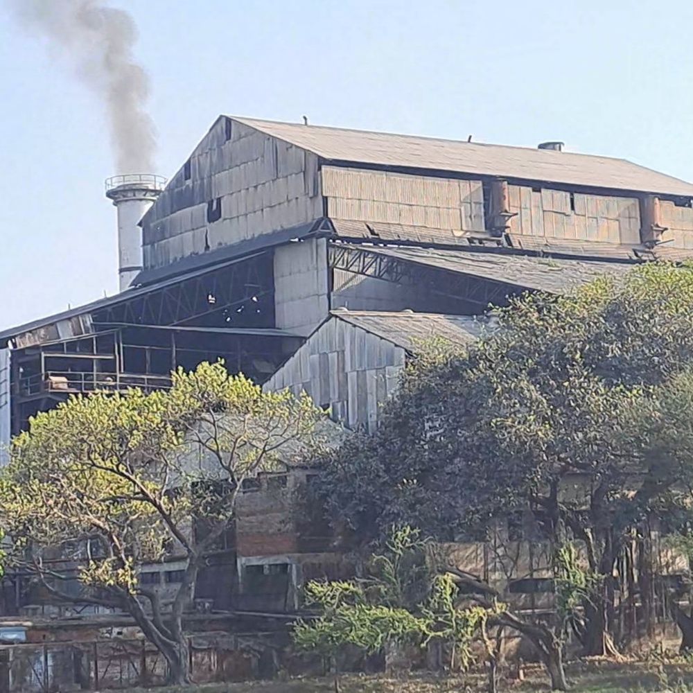 बलरामपुर में गन्ना पेराई ने तोड़ा रिकॉर्ड:पिछले सत्र से 22.88 लाख क्विंटल अधिक पेराई, 3 प्रमुख चीनी मिलों ने की प्रगति