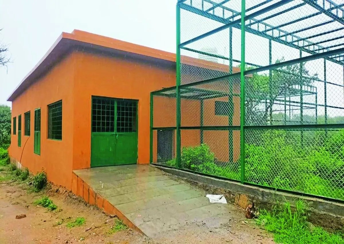 शहर को एक साथ तीन सौगातें : लाॅयन सफारी, रेस्क्यू सेंटर और रेप्टाइल हाउस का शुभारंभ कल