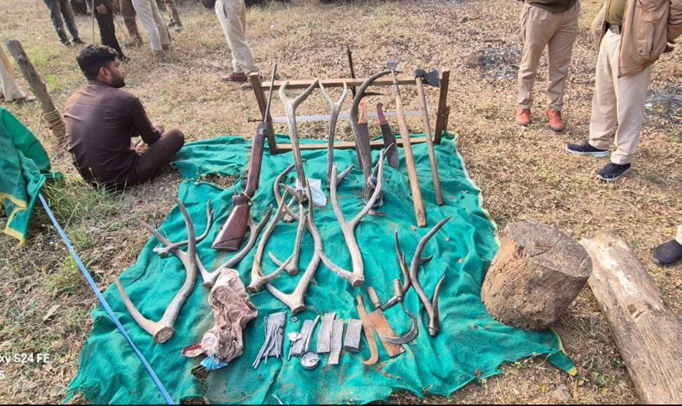 गश्त पर निकले वनकर्मियों पर फायरिंग, 8 आरोपियों पर मामला दर्ज, एक गिरफ्तार