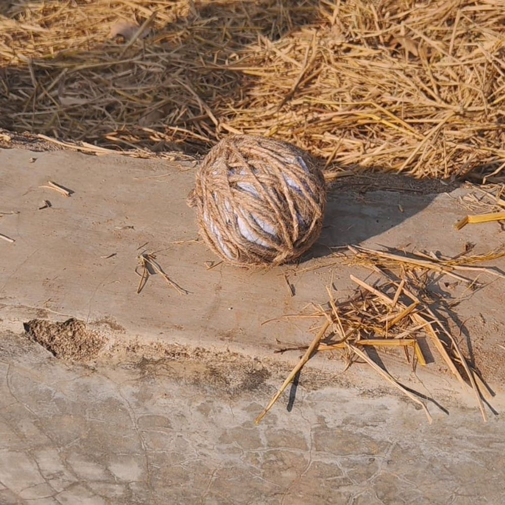 जमुई में बदमाशों ने लूट के बाद बमबाजी की:घर में घुसकर महिलाओं से मारपीट, डाक्यूमेंट्स भी जलाए