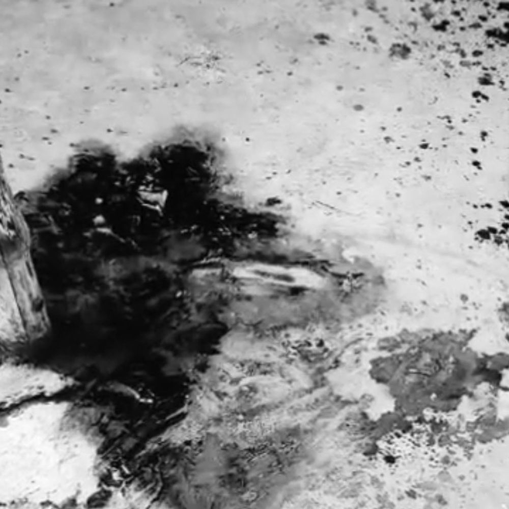 बस्ती में बुजुर्ग महिला की हत्या:घर के बाहर खून से लथपथ मिला था शव, अज्ञात पर केस दर्ज