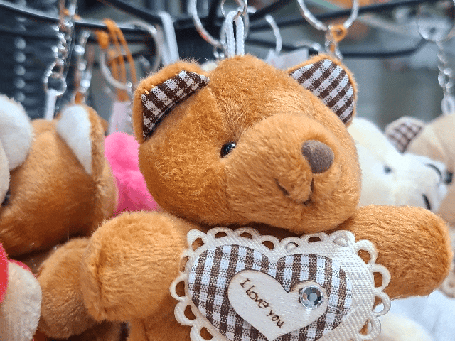 बदलते समय के साथ अब यूथ भी बदला:वेलेंटाइन डे के मौके अब पर्सनलाइज्ड गिफ्ट्स का चलन, गुलाब से ज्यादा वाइल्ड बुके का क्रेज