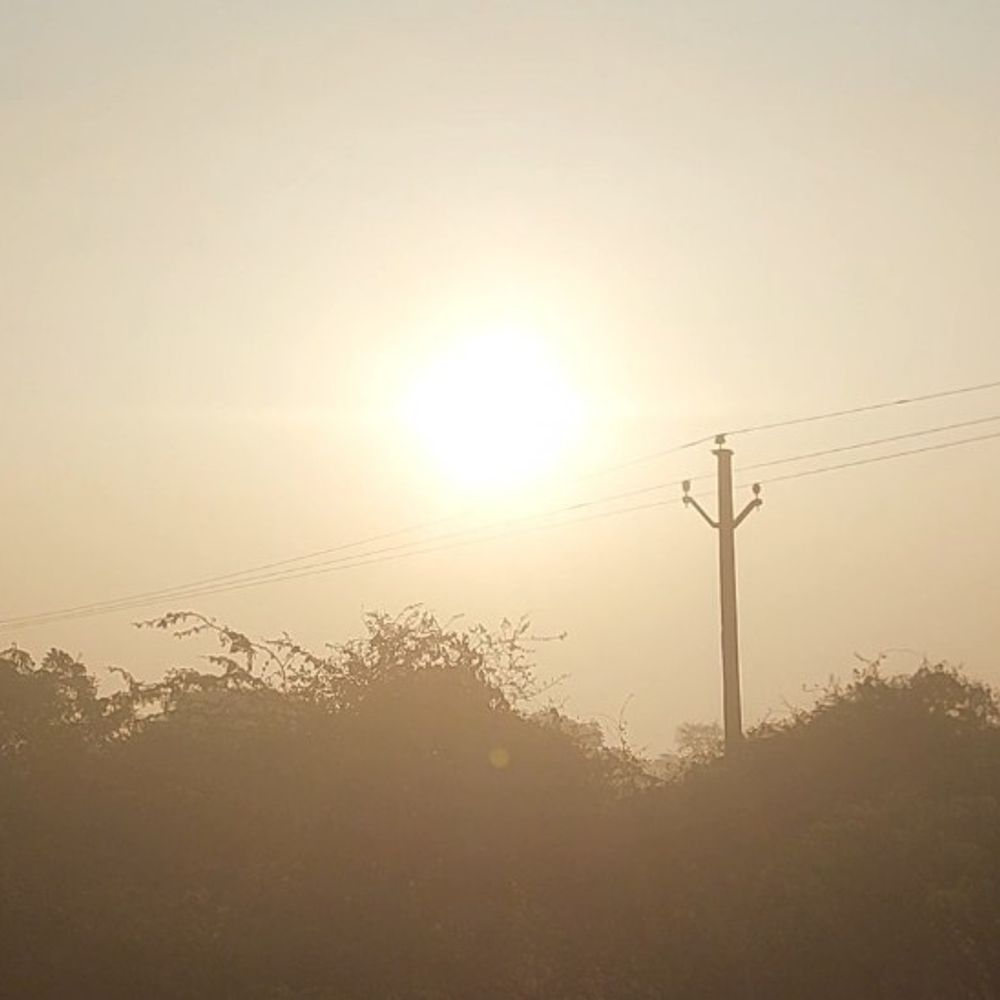 दो दिन बाद फिर मौसम साफ, सर्दी से राहत:खत्म हो रहा कोहरे का असर, धूप में आज दिन भर तेजी रहने के आसार