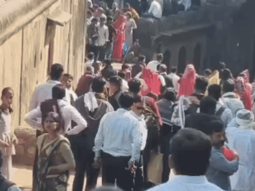 रणथंभौर दुर्ग में बाघिन आने से मचा हड़कंप:वन विभाग की टीम ने श्रद्धालुओं को किया सुरक्षित, दो घंटे बंद रहा दुर्ग