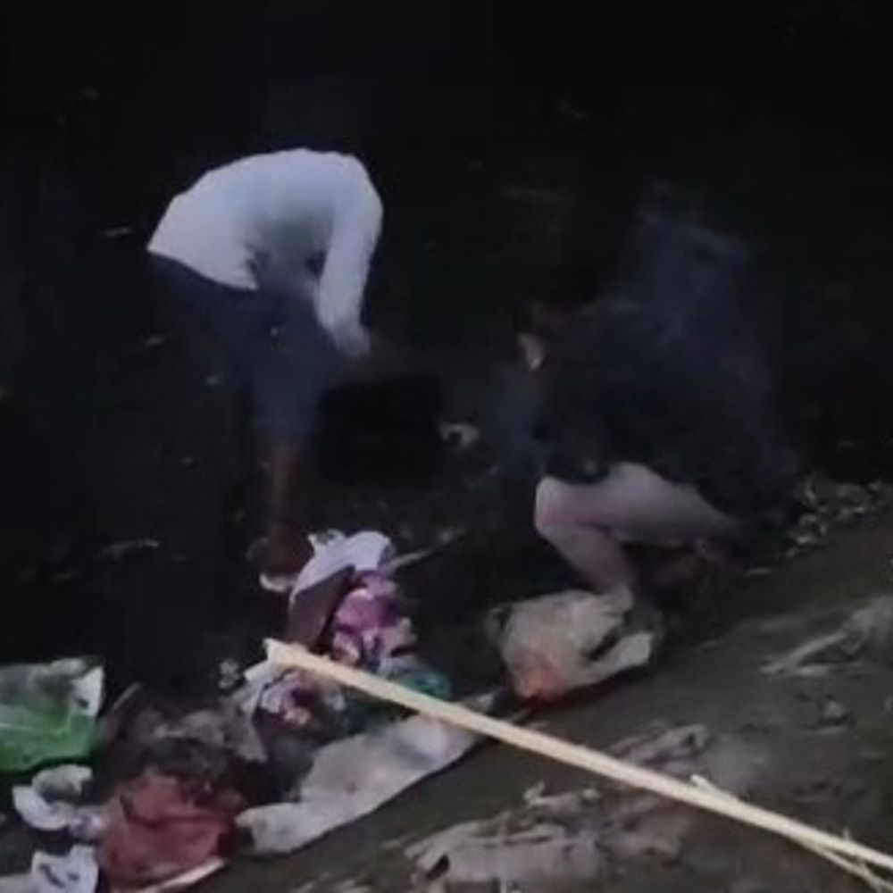 भिवानी में 5 पिल्लों का रेस्क्य:2 नहरों के बीच फंसे, पीछे से आया पानी तो सुरक्षित बचाया, गौ चिकित्सालय में रखे