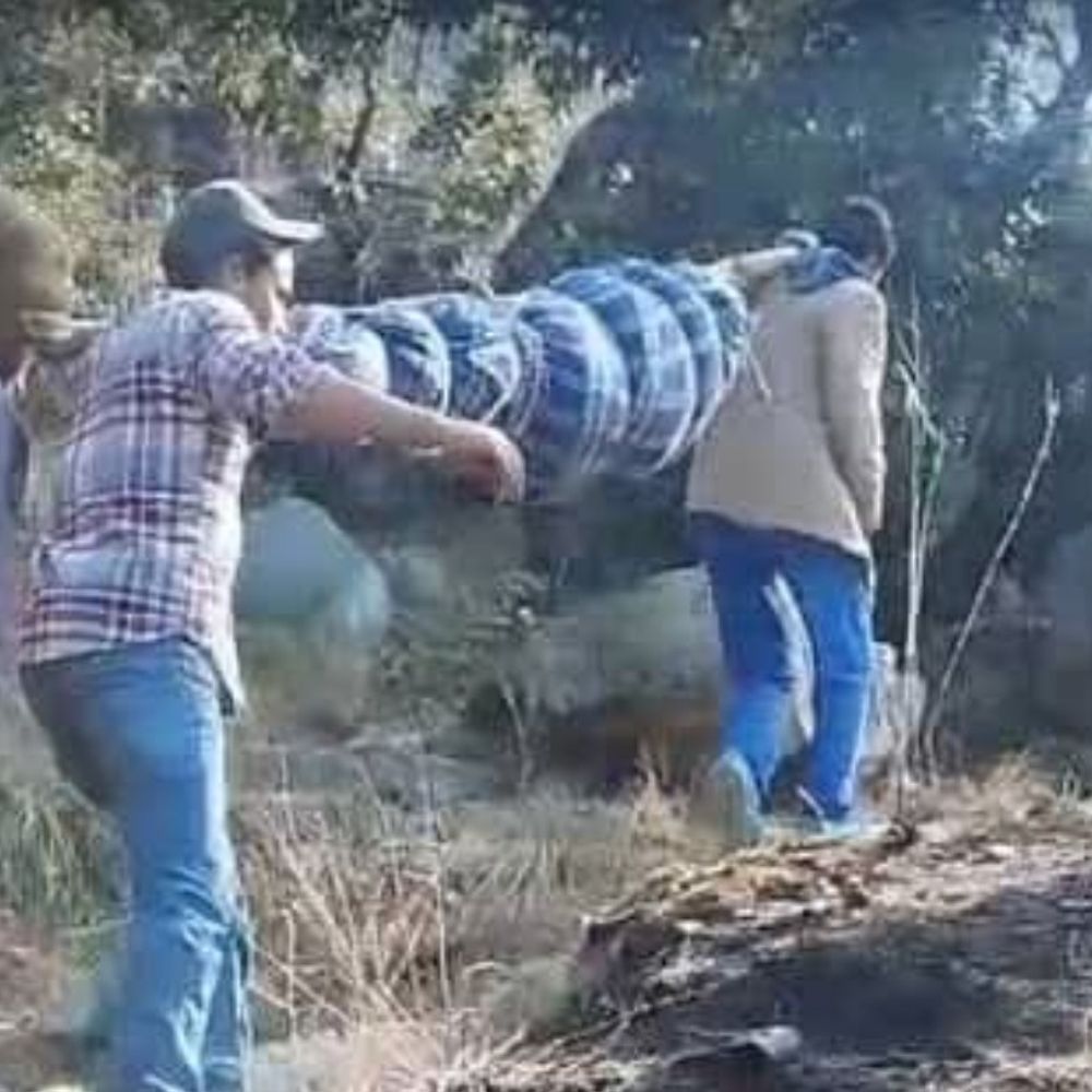 शिमला में मरीजों और शवों को कंधे पर ढोते ग्रामीण:सनाथली गांव 80 साल से सड़क विहीन, लोगों ने किया पलायन