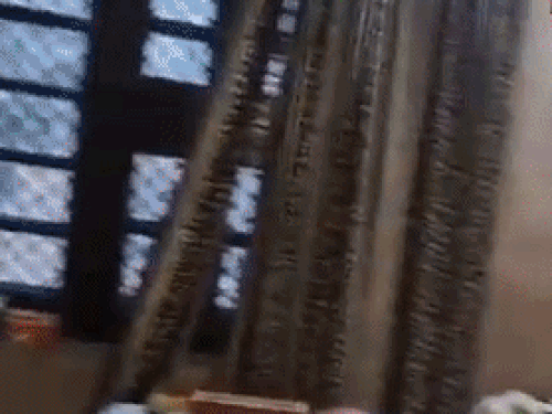 करनाल में मकान से लाखों गहने व नकदी चोरी:चोरों ने पहले फ्रीज में रखी मिठाई खाई फिर पी कोल्ड ड्रिंक बाद में दिया वारदात को अंजाम