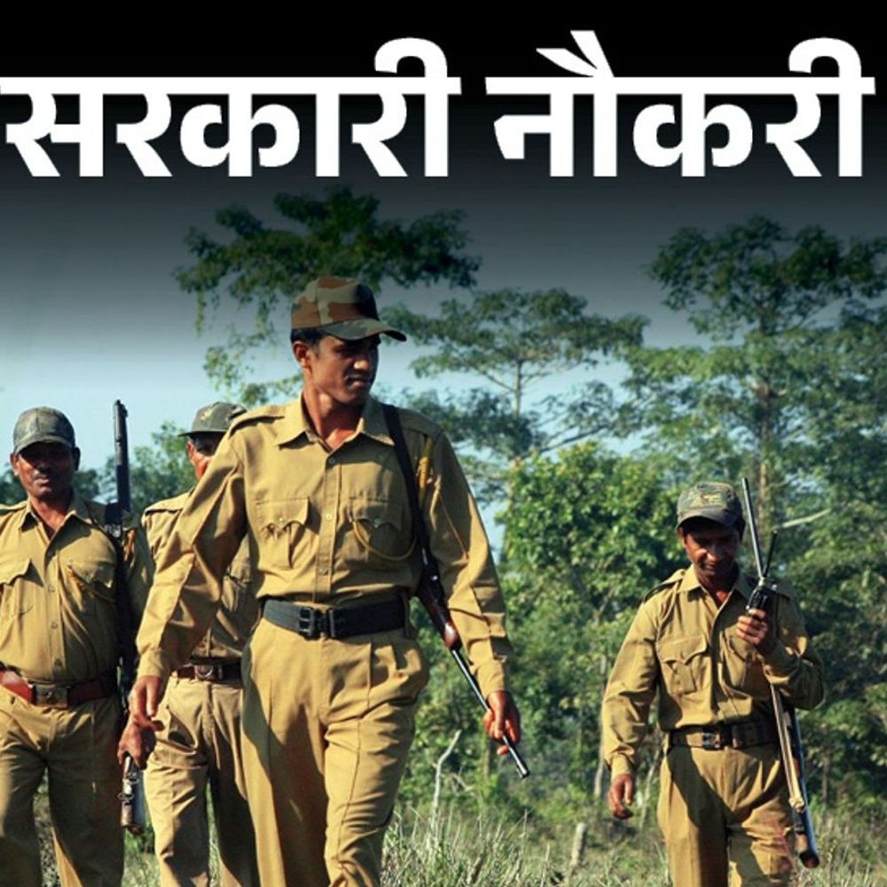 आज की सरकारी नौकरी:एमपी में 1679 पदों पर भर्ती के लिए आज से आवेदन शुरू; बिहार में 300 वैकेंसी, सेंट्रल बैंक ऑफ इंडिया में 275 ओपनिंग्स