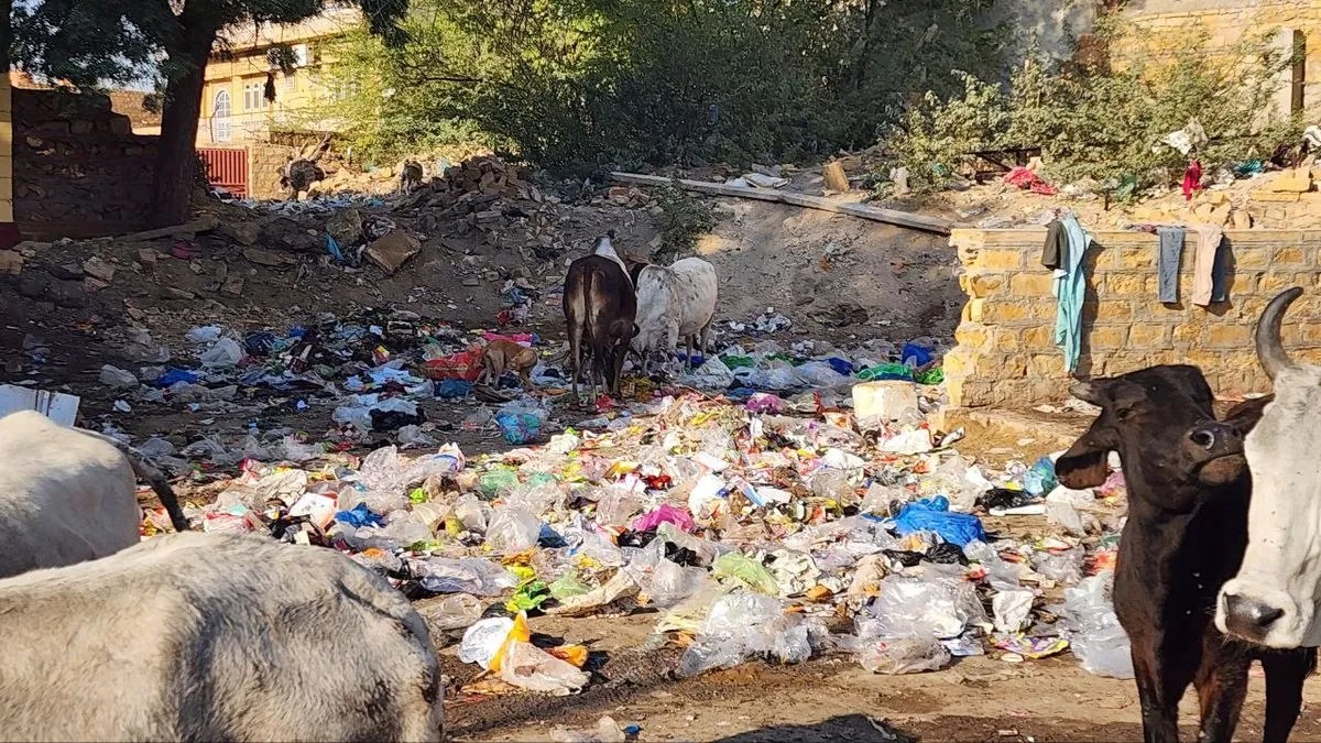 गोल्डन सिटी की डर्टी रियलिटी… सफाई सिस्टम ही फेल