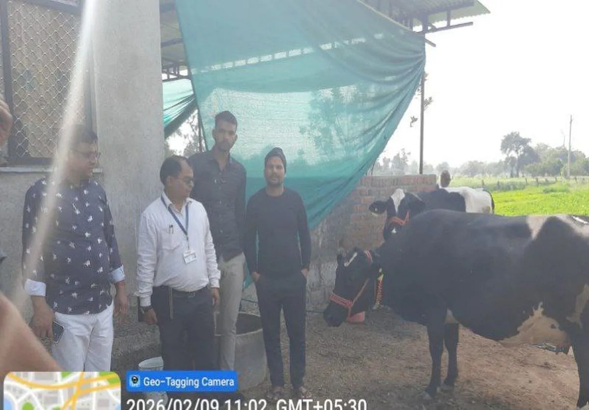 पशुपालकों का कर रही मंगल, दूसरे चरण में 43 हजार का बीमा करने का लक्ष्य