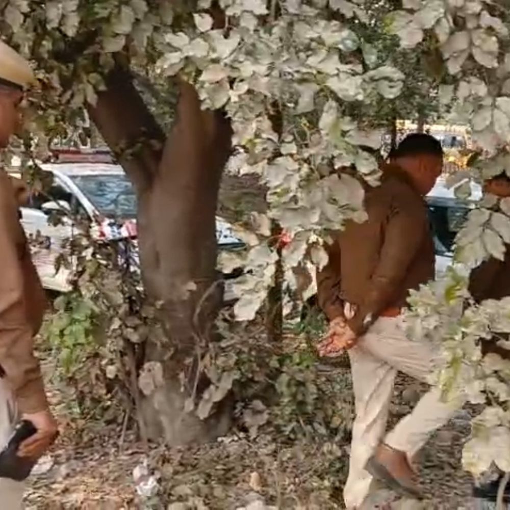 फरीदाबाद में झाड़ियों में नवजात का शव मिला:पॉलीथीन में लिपटी थी एक दिन की बच्ची; कूड़ा उठाने वाले ने देखा पैर