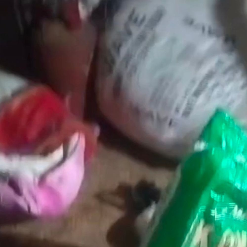 शेखपुरा में शराब कारोबारी पुलिस को चकमा देकर भागा:घर से 16.5 लीटर निर्मित, 400 लीटर अर्धनिर्मित शराब बरामद