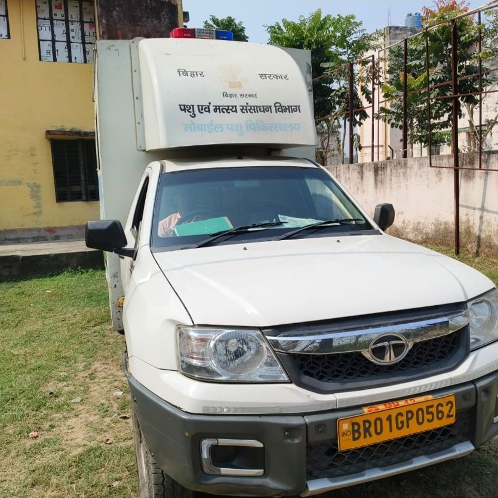 बेगूसराय में बीमार पशुओं को मिलेगी त्वरित चिकित्सा:एक कॉल पर पहुंचेगी पशु एंबुलेंस, 1962 हेल्पलाइन की दी गई जानकारी