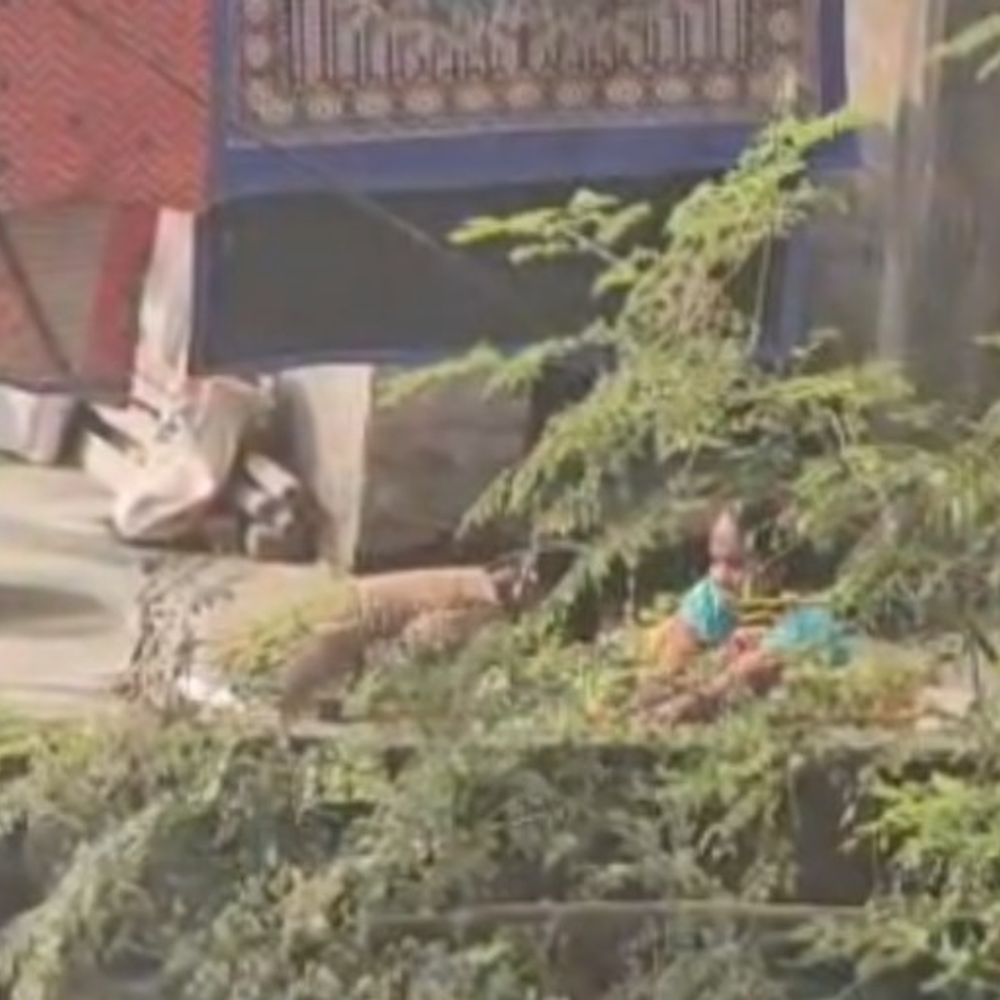 किशनगंज में दहेज के लिए महिला को बांधकर पीटा:पति-सास पर आरोप, वीडियो वायरल, पुलिस जांच में जुटी