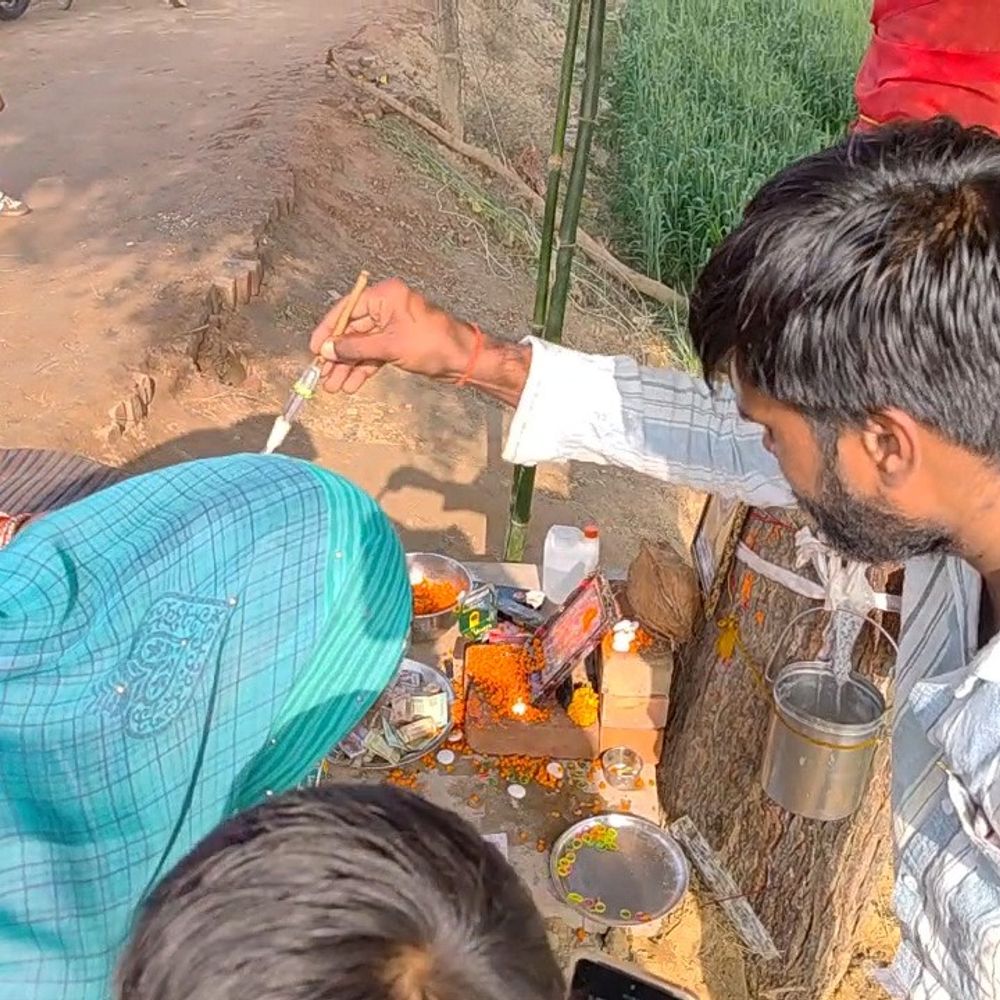 इटावा में नीम के पेड़ से निकल रहा दूधिया तरल:नीम का पेड़ बना आस्था और जिज्ञासा का केंद्र, इलाज के लिए पहुंच रहे लोग