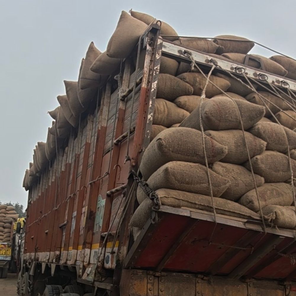 बारिश से भीगी धान्र, ठेकेदार को नोटिस:उमरिया के वेयरहाउस में खराब होने का खतरा; किसानों का भुगतान रुका