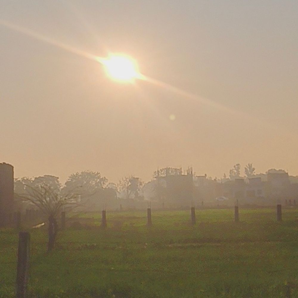 अमेठी में कोहरे से राहत, धूप निकली:तेज हवाओं से ठंडक बरकरार, सड़क हादसे कम हुए