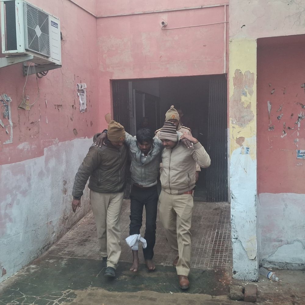 हरदोई पुलिस ने तीन भैंस चोरों को किया गिरफ्तार:मुठभेड़ में एक घायल, चोरी की भैंस और पिकअप बरामद