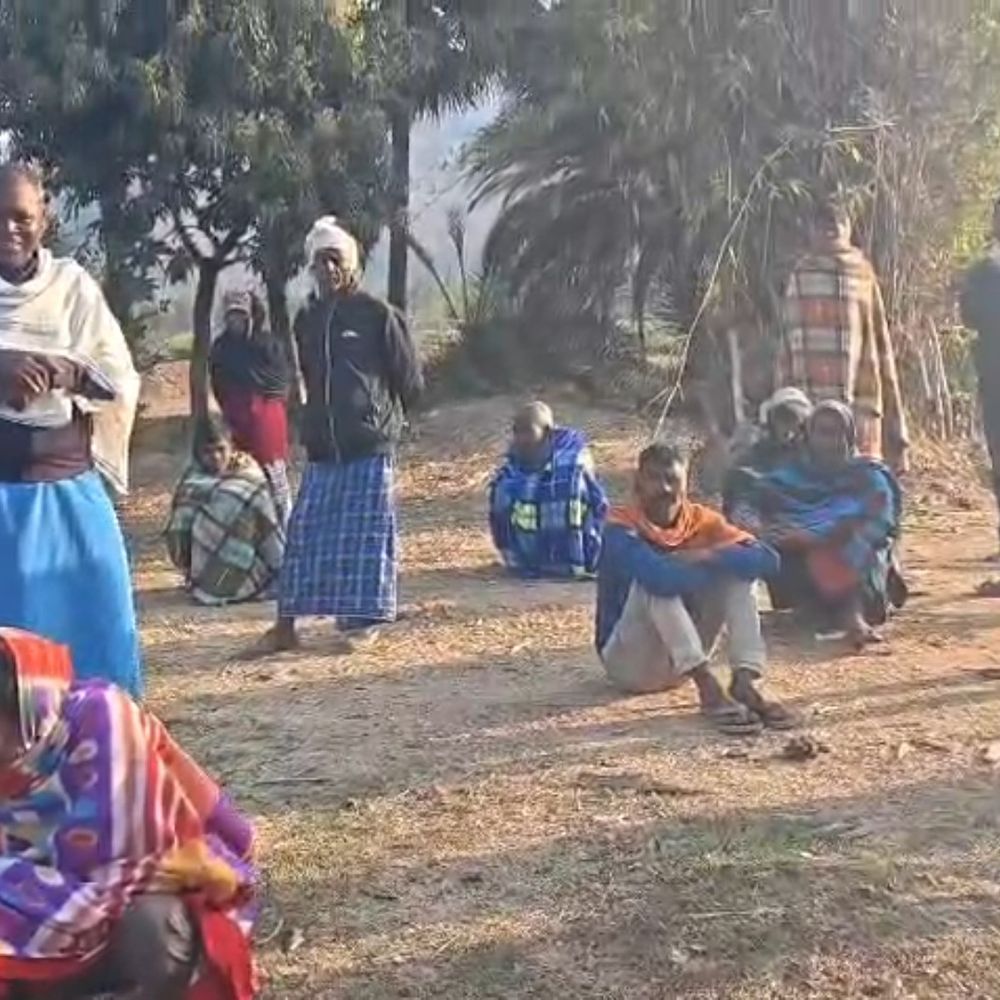 जमुई में हाथियों ने फसल-घरों को नुकसान पहुंचाया:ताराटांड़ और टीटहीया में ग्रामीणों में दहशत, वन विभाग को सूचना दी