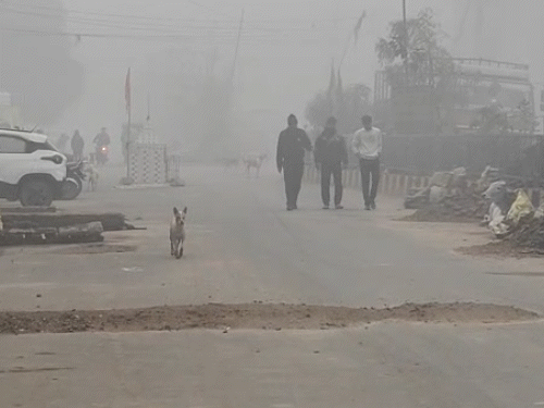 ग्वालियर समेत 20 जिलों में आज आंधी-बारिश का अलर्ट:कल से कोहरे का असर ज्यादा; नए सिस्टम से फिर गिरेगा मावठा