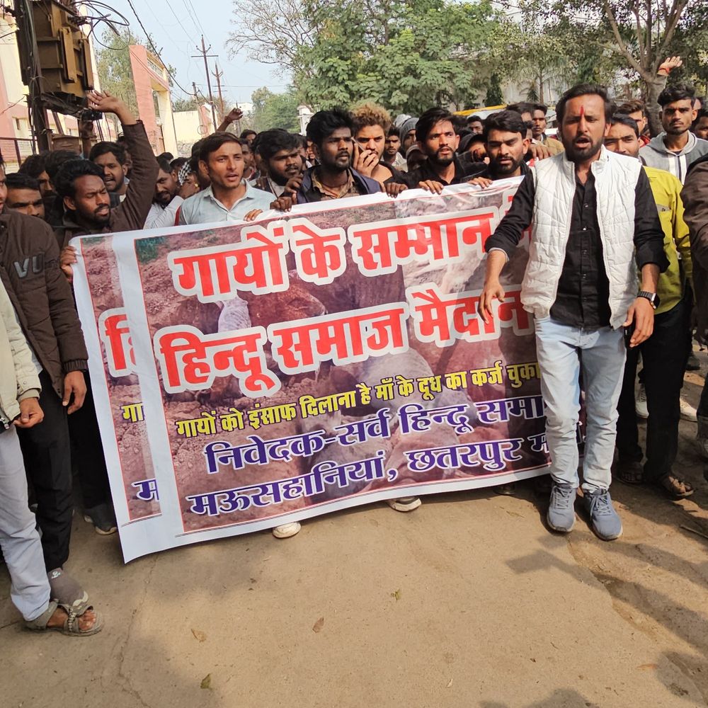 गोशाला अध्यक्ष पर गोहत्या की FIR करने की मांग:छतरपुर में गोशाला की जमीन पर अनाज बेचने का आरोप; नई समिति बनाने की अपील