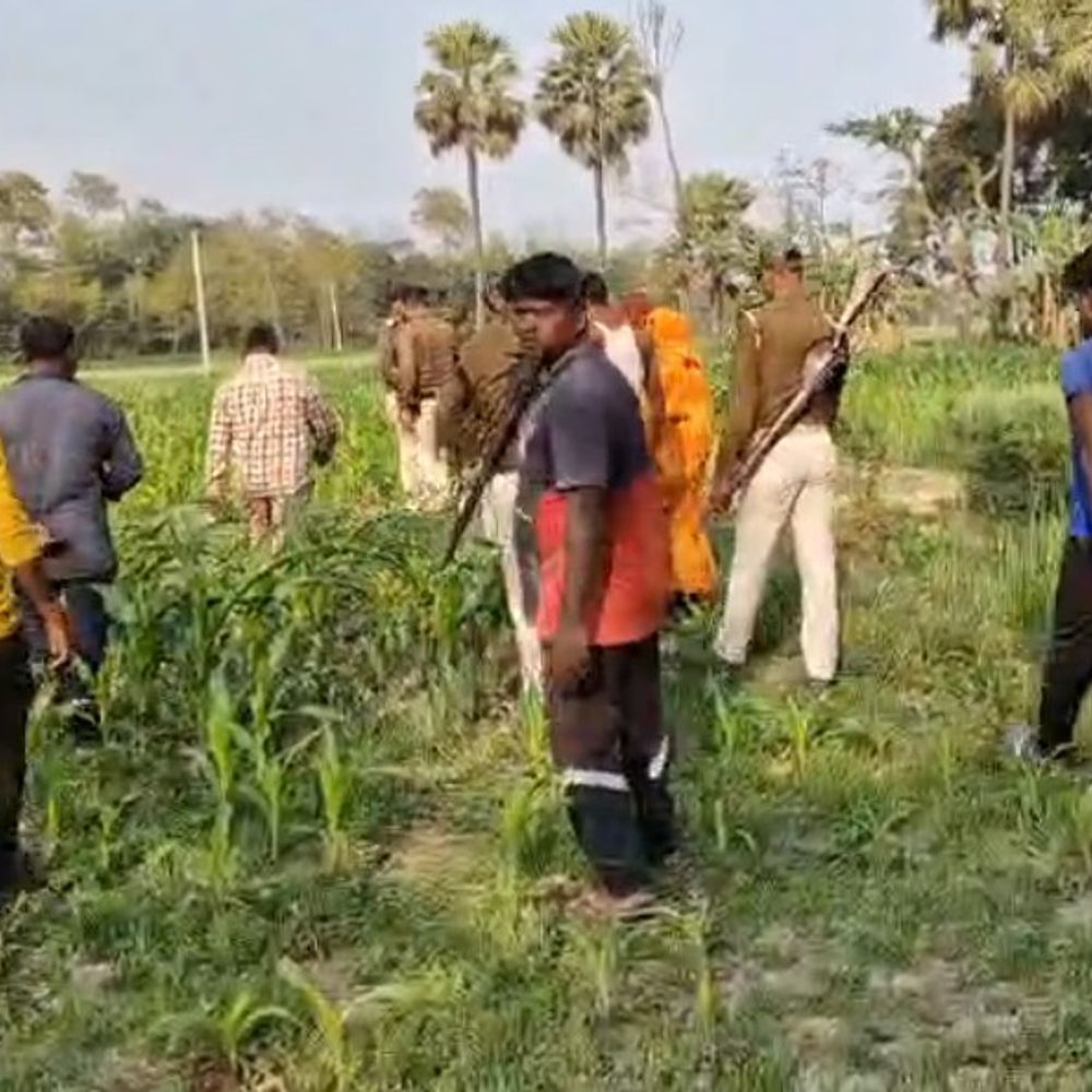 सहरसा से 5 नाबालिग लड़कियां लापता:घास काटने निकली थीं, परिजनों ने दर्ज कराई शिकायत, पुलिस जांच में जुटी