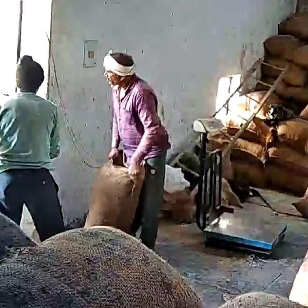 अयोध्या में धान खरीद केंद्र पर अनाज चोरी का आरोप:किसान ने मुख्यमंत्री से शिकायत की, सचिव के खिलाफ करवाई की मांग