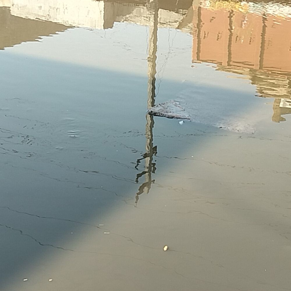 फतेहाबाद के घरों में पहुंच रहा सीवरेज का गंदा पानी:लोग पीकर पड़ रहे बीमार; स्थायी समाधान की रखी मांग