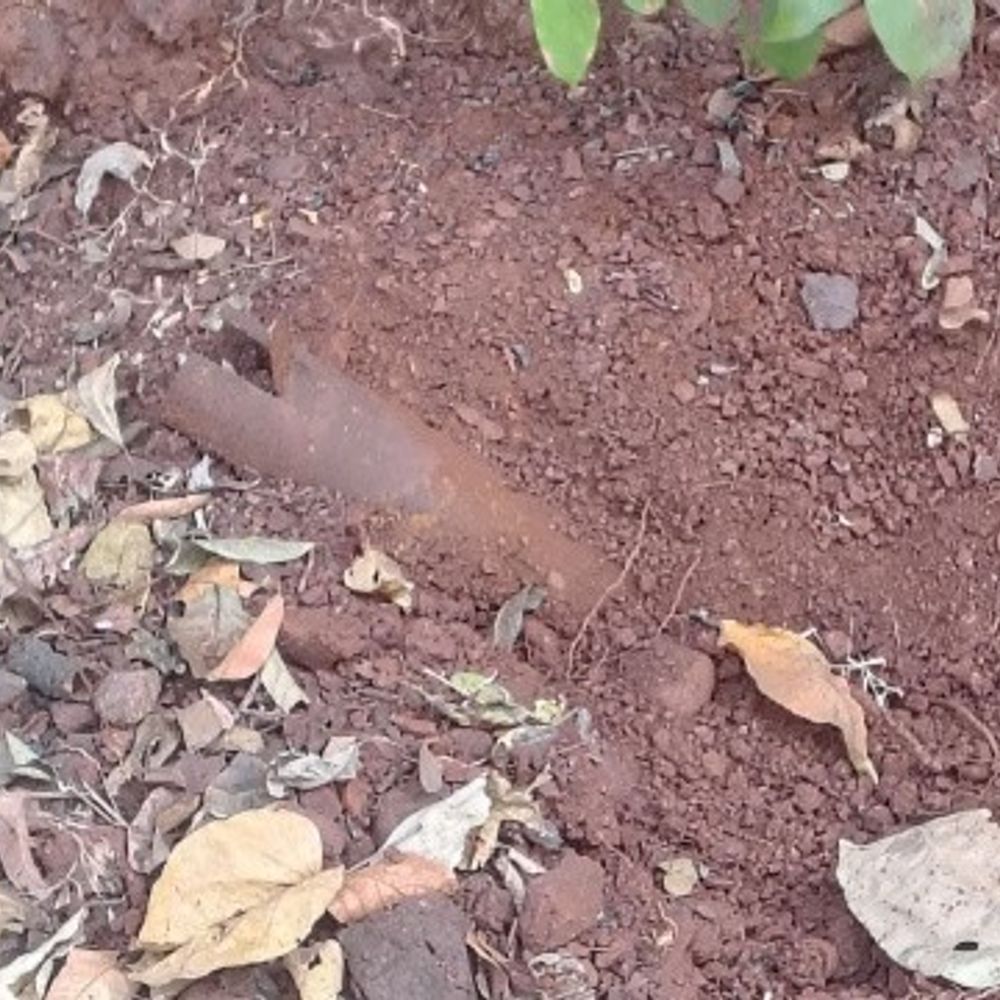 पश्चिमी सिंहभूम में बड़ी नक्सली साजिश नाकाम:टोंटोगड़ा के पास सड़क किनारे मिला IED, सीआरपीएफ ने किया डिफ्यूज