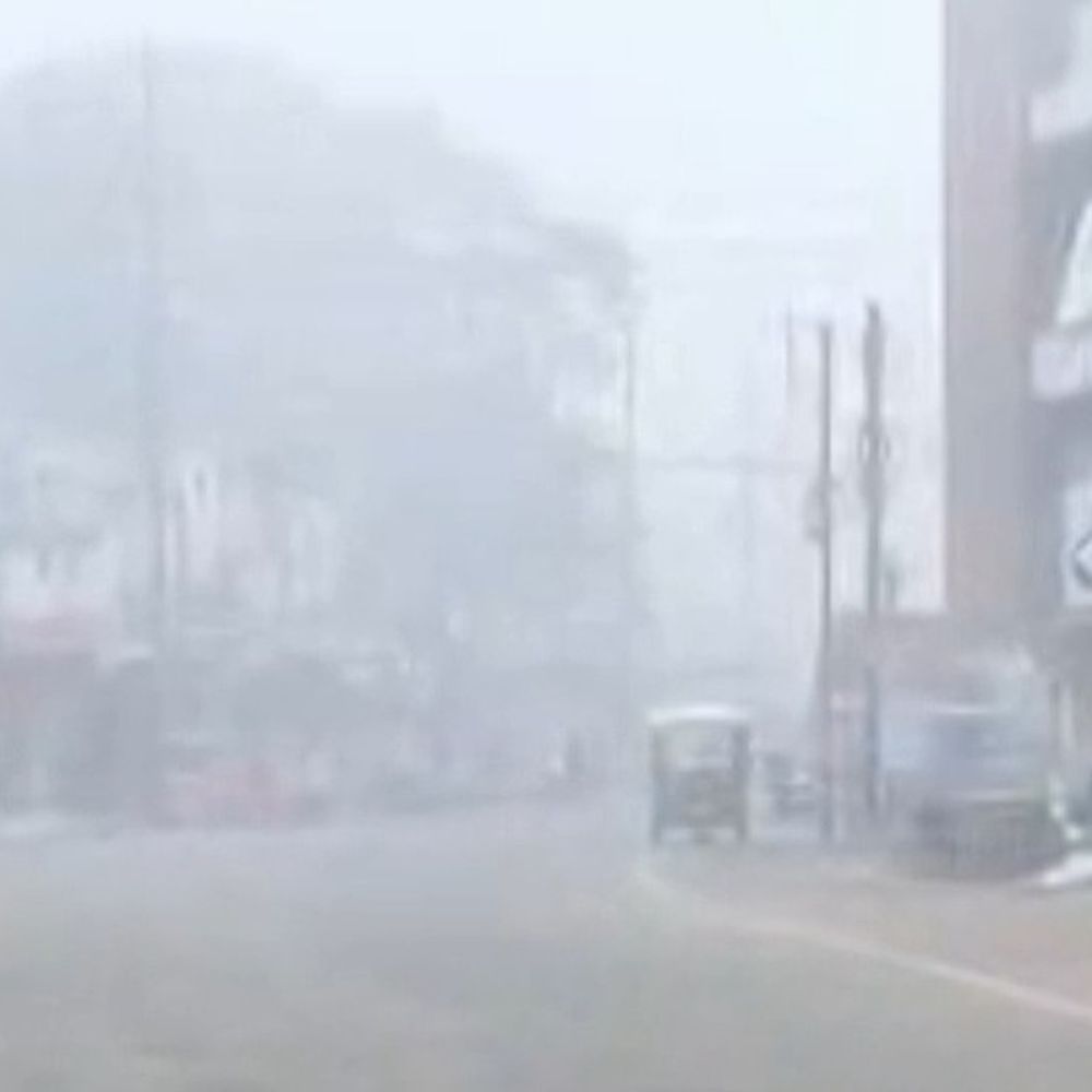 दमोह में सुबह 9.30 हैडलाइट जलाकर चले वाहन:कोहरे से विजिबिलिटी 50 मीटर से कम; अगले दो-तीन दिन बारिश की संभावना