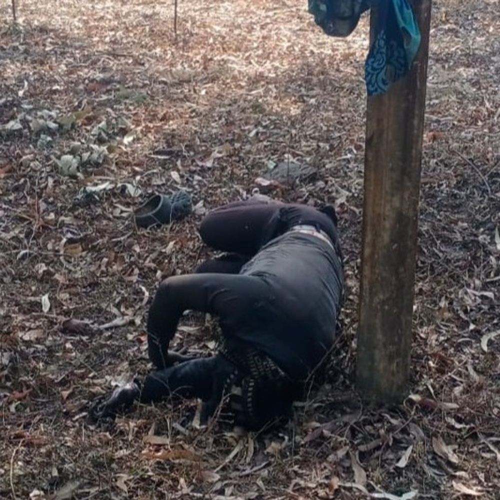 अनूपपुर में युवक का तीन दिन पुराना शव मिला:टीआई बोले-बिजली करंट से मौत की आशंका; हाथ-पांव पर करंट से झुलसने के निशान