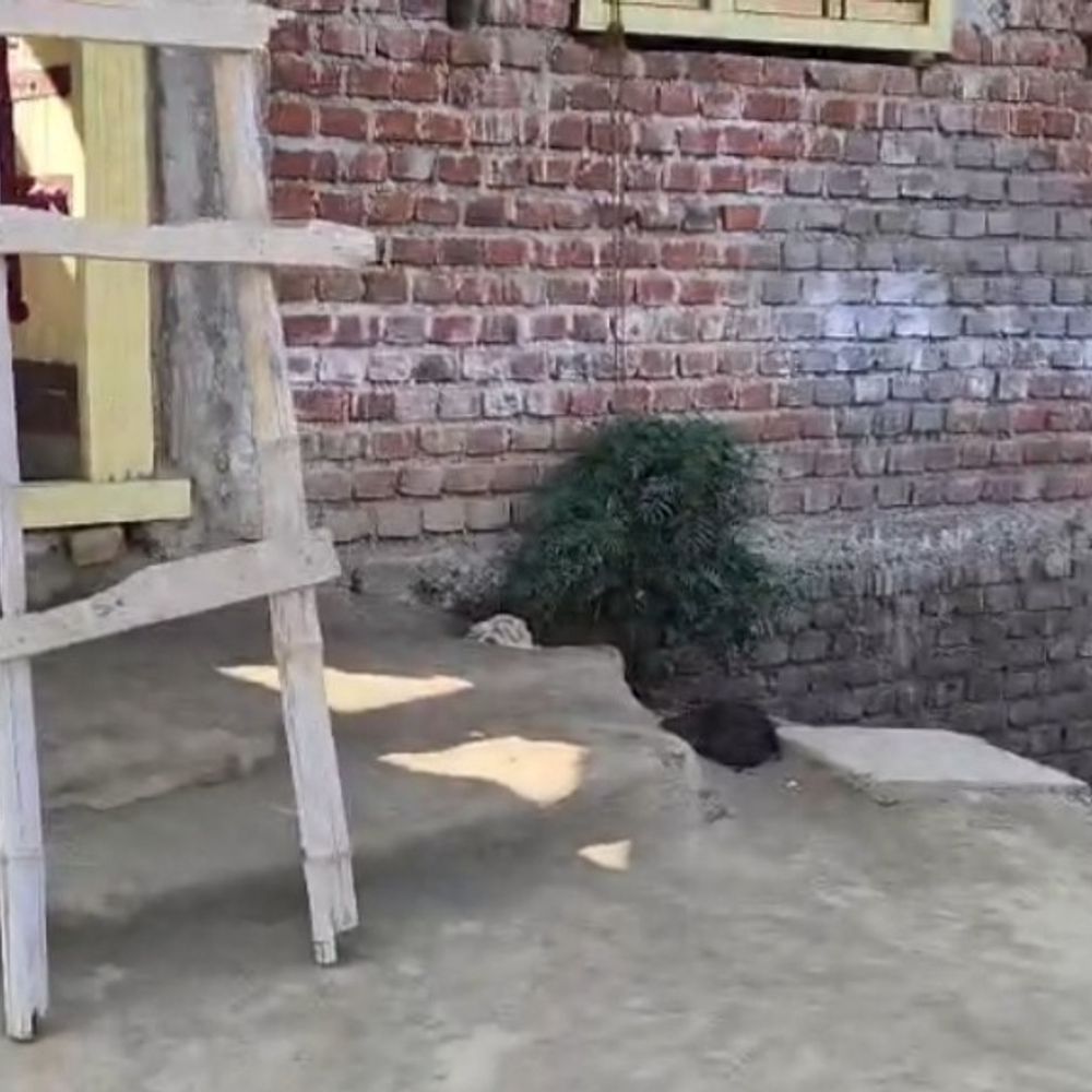 हथियारबंद अपराधियों ने 7 लाख की चोरी की:जहानाबाद में दिव्यांग परिवार को बंधक बनाकर कैश और ज्वेलरी चुराए