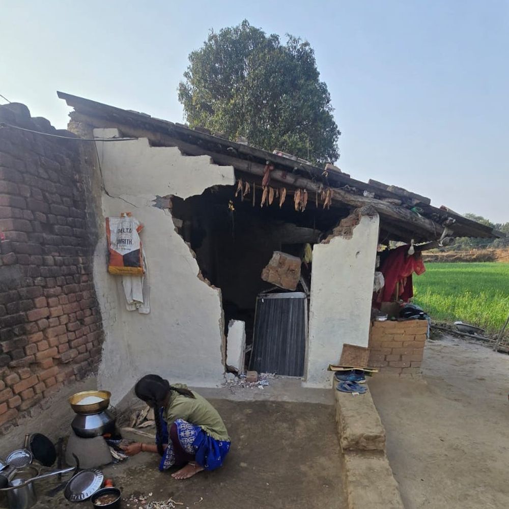 अनूपपुर में दंतैल हाथी का उत्पात, 4 घरों में तोड़फोड़:फसल और अनाज को भी नुकसान; किसान बोले- पिछले 50 दिनों से गांव में ही घूम रहा