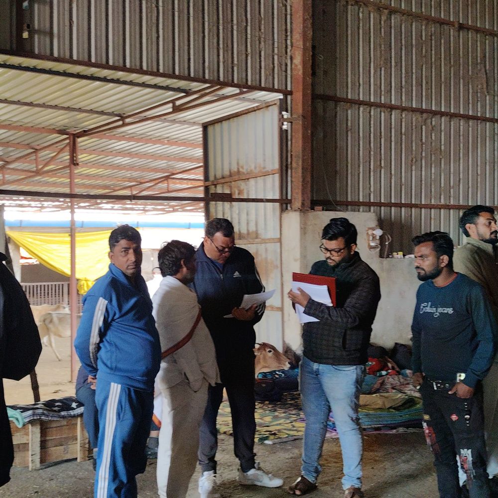 अशोकनगर में 8 आदिवासी हितग्राहियों को 16 भैंसें मिलीं:सिंधिया से शिकायत के बाद कार्रवाई; पशुपालन विभाग पारदर्शी तरीके से दे रहा